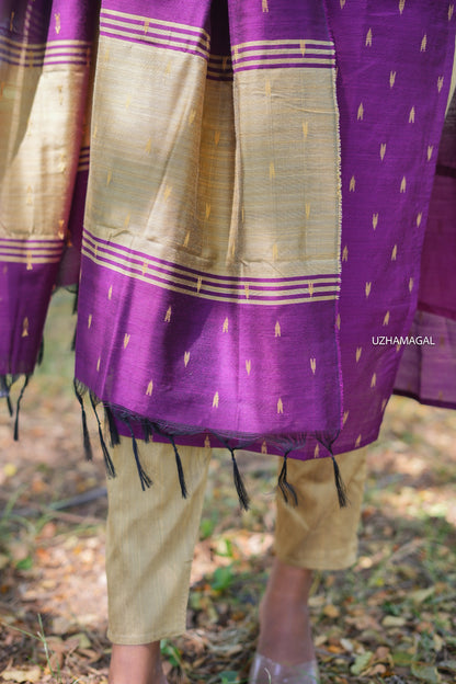 Meenakshi Magic kurti set