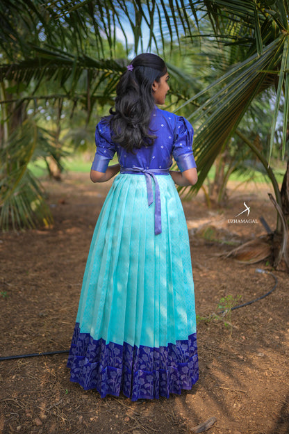 Blueberry dress