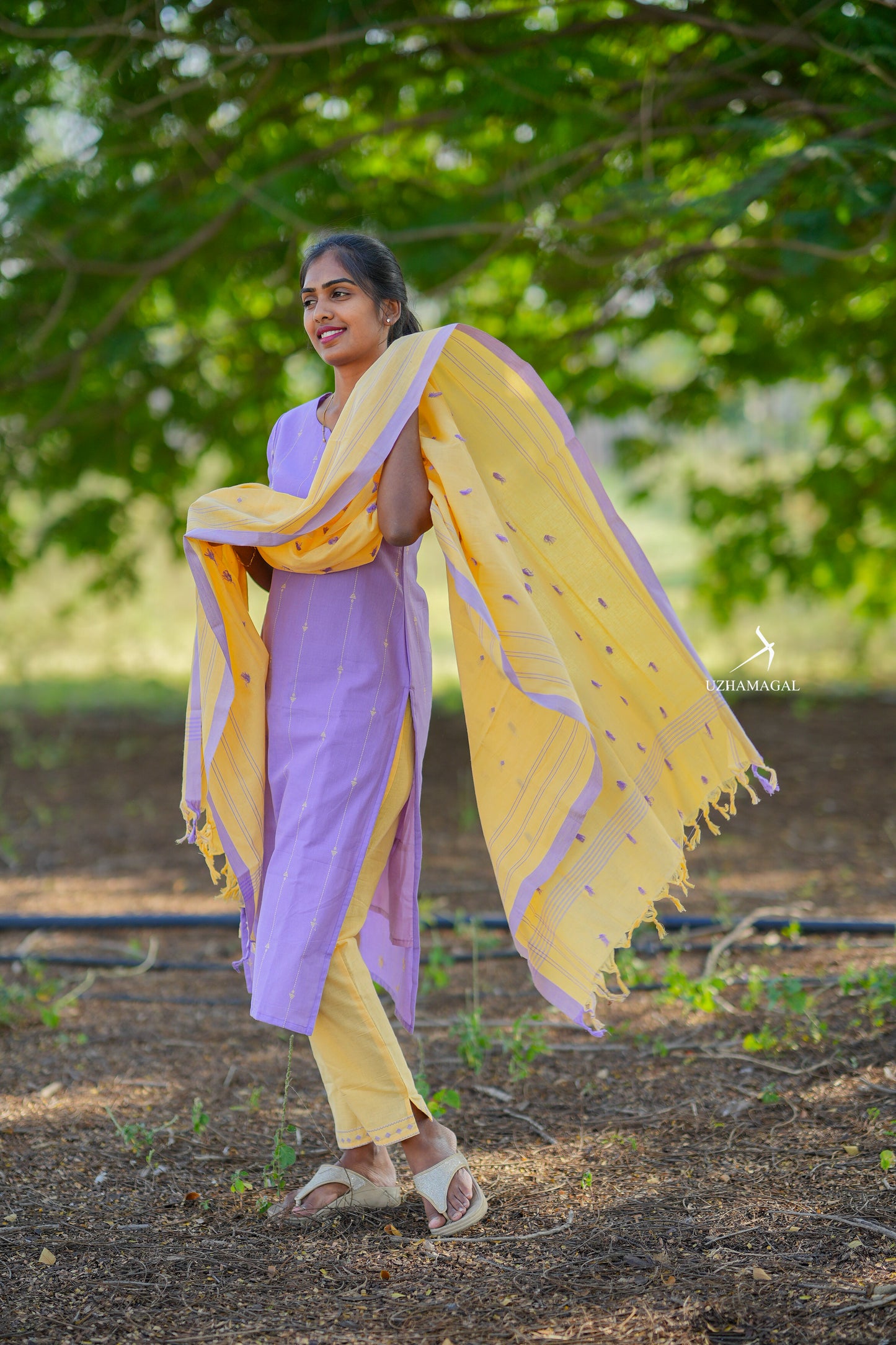 Maya nilavu