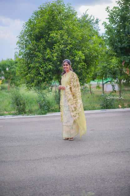 Olive Bloom Kurti Set